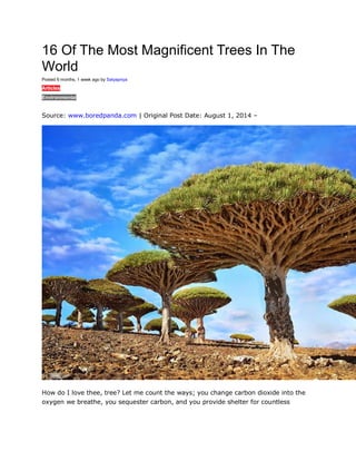 16 Of The Most Magnificent Trees In The
World
Posted 6 months, 1 week ago by Satyapriya
Articles
Environmental
0
Source: www.boredpanda.com | Original Post Date: August 1, 2014 –
How do I love thee, tree? Let me count the ways; you change carbon dioxide into the
oxygen we breathe, you sequester carbon, and you provide shelter for countless
 