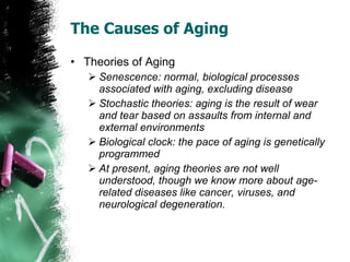 The Causes of Aging Theories of Aging Senescence: normal, biological processes associated with aging, excluding disease Stochastic theories: aging is the result of wear and tear based on assaults from internal and external environments Biological clock: the pace of aging is genetically programmed At present, aging theories are not well understood, though we know more about age-related diseases like cancer, viruses, and neurological degeneration. 