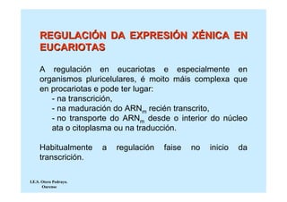 REGULACIÓN DA EXPRESIÓN XÉNICA EN
     EUCARIOTAS

     A regulación en eucariotas e especialmente en
     organismos pluricelulares, é moito máis complexa que
     en procariotas e pode ter lugar:
        - na transcrición,
        - na maduración do ARNm recién transcrito,
        - no transporte do ARNm desde o interior do núcleo
        ata o citoplasma ou na traducción.

     Habitualmente      a   regulación   faise   no   inicio   da
     transcrición.

I.E.S. Otero Pedrayo.
       Ourense
 