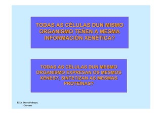 TODAS AS CÉLULAS DUN MISMO
                   ORGANISMO TEÑEN A MESMA
                    INFORMACIÓN XENÉTICA?




                    TODAS AS CÉLULAS DUN MESMO
                   ORGANISMO EXPRESAN OS MESMOS
                    XENES?, SINTETIZAN AS MESMAS
                             PROTEÍNAS?


I.E.S. Otero Pedrayo.
       Ourense
 
