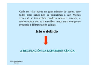 Cada ser vivo posúe un gran número de xenes, pero
               todos estes xenes non se transcriben á vez. Moitos
               xenes só se transcriben cando a célula o necesita, e
               moitos outros non se transcriben nunca unha vez que se
               produciu a diferenciación celular.

                             Isto é debido



                A REGULACIÓN DA EXPRESIÓN XÉNICA.


I.E.S. Otero Pedrayo.
       Ourense
 