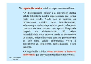 Na regulación xénica hai dous aspectos a considerar:
                        • A diferenciación celular é a conversión dunha
                        célula totipotente noutra especializada que forma
                        parte dun tecido. Aínda non se coñecen os
                        mecanismos exactos desa transformación,
                        sabemos que cada estirpe celular posúe unha parte
                        concreta do seu xenoma que queda bloqueada
                        despois      da    diferenciación.    Só    existe
                        reversibilidade dese proceso cando se desenvolve
                        un cancro, enfermidade que consiste precisamente
                        en que unha célula diferenciada volve a
                        converterse en totipotente, desbloqueando o seu
                        xenoma.
                        • A regulación xénica como resposta a factores
                        ambientais que provocan necesidades nas células.
I.E.S. Otero Pedrayo.
       Ourense
 