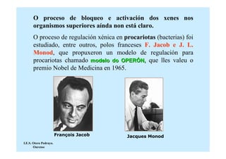 O proceso de bloqueo e activación dos xenes nos
      organismos superiores aínda non está claro.
      O proceso de regulación xénica en procariotas (bacterias) foi
      estudiado, entre outros, polos franceses F. Jacob e J. L.
      Monod, que propuxeron un modelo de regulación para
      procariotas chamado modelo do OPERÓN, que lles valeu o
      premio Nobel de Medicina en 1965.




                        François Jacob   Jacques Monod
I.E.S. Otero Pedrayo.
       Ourense
 