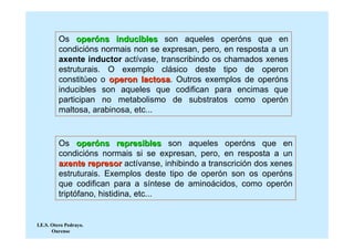 Os operóns inducibles son aqueles operóns que en
         condicións normais non se expresan, pero, en resposta a un
         axente inductor actívase, transcribindo os chamados xenes
         estruturais. O exemplo clásico deste tipo de operon
         constitúeo o operon lactosa. Outros exemplos de operóns
                               lactosa
         inducibles son aqueles que codifican para encimas que
         participan no metabolismo de substratos como operón
         maltosa, arabinosa, etc...



         Os operóns represibles son aqueles operóns que en
         condicións normais si se expresan, pero, en resposta a un
         axente represor actívanse, inhibindo a transcrición dos xenes
         estruturais. Exemplos deste tipo de operón son os operóns
         que codifican para a síntese de aminoácidos, como operón
         triptófano, histidina, etc...


I.E.S. Otero Pedrayo.
       Ourense
 