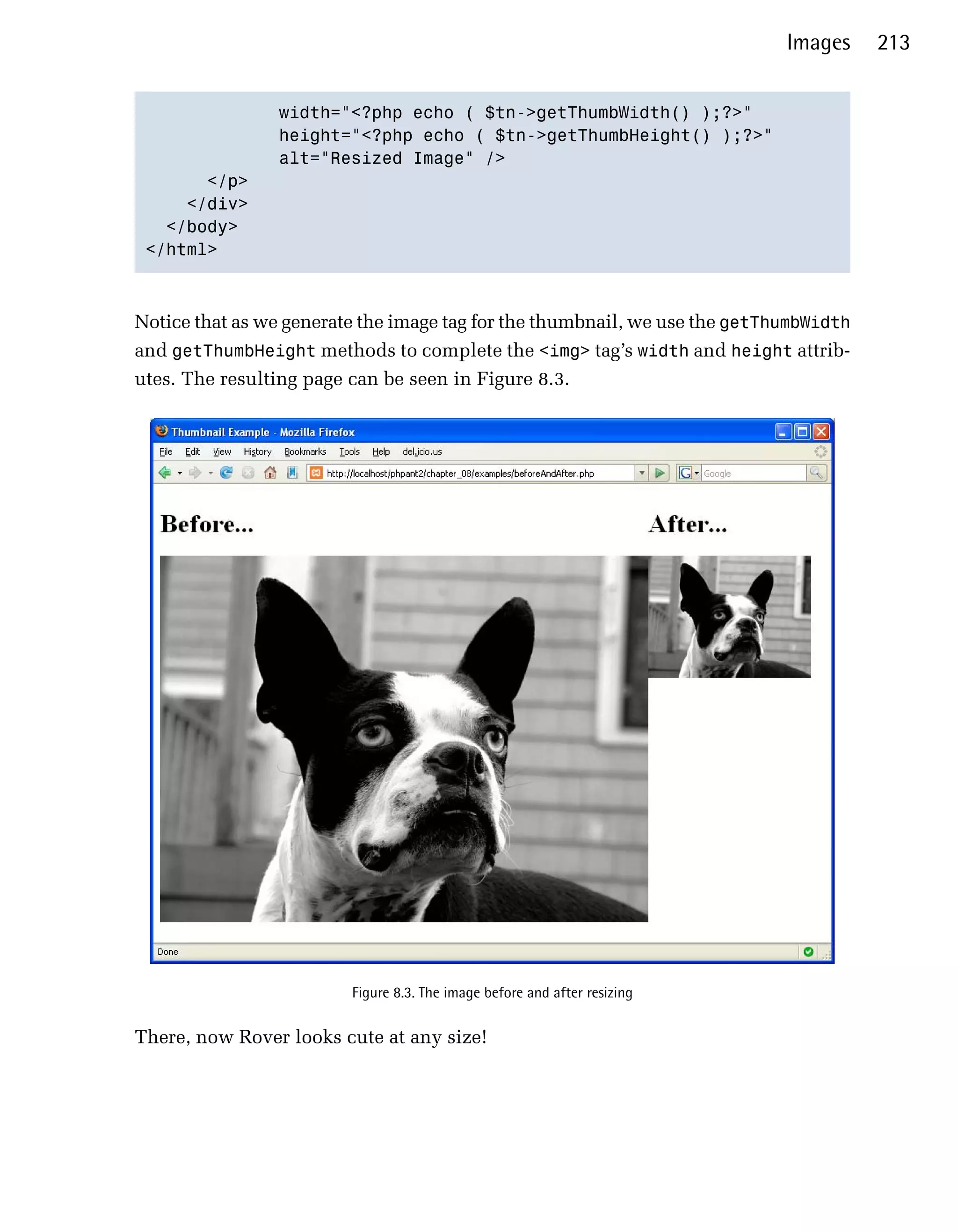 Images     213


                width="<?php echo ( $tn->getThumbWidth() );?>"

                height="<?php echo ( $tn->getThumbHeight() );?>"

                alt="Resized Image" />

       </p>

     </div>

   </body>

 </html>




Notice that as we generate the image tag for the thumbnail, we use the getThumbWidth
and getThumbHeight methods to complete the <img> tag’s width and height attrib­
utes. The resulting page can be seen in Figure 8.3.




                         Figure 8.3. The image before and after resizing


There, now Rover looks cute at any size!
 