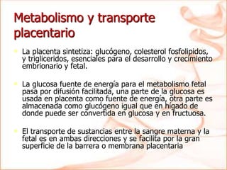 Metabolismo y transporte
placentario
• La placenta sintetiza: glucógeno, colesterol fosfolipidos,
y trigliceridos, esenciales para el desarrollo y crecimiento
embrionario y fetal.
• La glucosa fuente de energía para el metabolismo fetal
pasa por difusión facilitada, una parte de la glucosa es
usada en placenta como fuente de energía, otra parte es
almacenada como glucógeno igual que en hígado de
donde puede ser convertida en glucosa y en fructuosa.
• El transporte de sustancias entre la sangre materna y la
fetal es en ambas direcciones y se facilita por la gran
superficie de la barrera o membrana placentaria
 