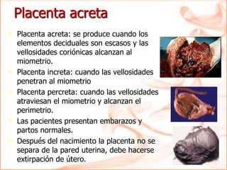 Placenta acreta
• Placenta acreta: se produce cuando los
elementos deciduales son escasos y las
vellosidades coriónicas alcanzan al
miometrio.
• Placenta increta: cuando las vellosidades
penetran al miometrio
• Placenta percreta: cuando las vellosidades
atraviesan el miometrio y alcanzan el
perimetrio.
• Las pacientes presentan embarazos y
partos normales.
• Después del nacimiento la placenta no se
separa de la pared uterina, debe hacerse
extirpación de útero.
 