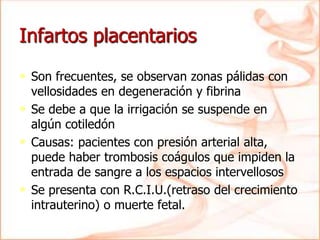 Infartos placentarios
• Son frecuentes, se observan zonas pálidas con
vellosidades en degeneración y fibrina
• Se debe a que la irrigación se suspende en
algún cotiledón
• Causas: pacientes con presión arterial alta,
puede haber trombosis coágulos que impiden la
entrada de sangre a los espacios intervellosos
• Se presenta con R.C.I.U.(retraso del crecimiento
intrauterino) o muerte fetal.
 