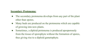 Secondary Protonema:
● The secondary protonema develops from any part of the plant
other than spores.
● Many buds are produced on the protonema which are capable
of growing into new plants.
● Sometimes, a diploid protonema is produced aposporously
from the tissue of sporophyte without the formation of spores,
thus giving rise to a diploid gametophyte.
 