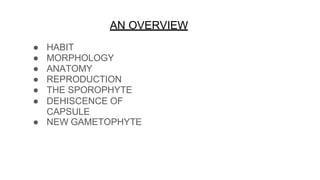 AN OVERVIEW
● HABIT
● MORPHOLOGY
● ANATOMY
● REPRODUCTION
● THE SPOROPHYTE
● DEHISCENCE OF
CAPSULE
● NEW GAMETOPHYTE
 