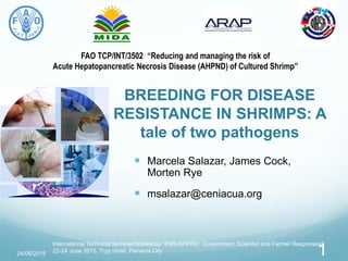 FAO TCP/INT/3502 “Reducing and managing the risk of
Acute Hepatopancreatic Necrosis Disease (AHPND) of Cultured Shrimp”
BREEDING FOR DISEASE
RESISTANCE IN SHRIMPS: A
tale of two pathogens
 Marcela Salazar, James Cock,
Morten Rye
 msalazar@ceniacua.org
24/06/2015
International Technical Seminar/Workshop “EMS/AHPND: Government, Scientist and Farmer Responses”
22-24 June 2015, Tryp Hotel, Panama City 1
 