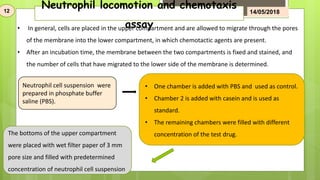 Neutrophil locomotion and chemotaxis
assay• In general, cells are placed in the upper compartment and are allowed to migrate through the pores
of the membrane into the lower compartment, in which chemotactic agents are present.
• After an incubation time, the membrane between the two compartments is fixed and stained, and
the number of cells that have migrated to the lower side of the membrane is determined.
Neutrophil cell suspension were
prepared in phosphate buffer
saline (PBS).
• One chamber is added with PBS and used as control.
• Chamber 2 is added with casein and is used as
standard.
• The remaining chambers were filled with different
concentration of the test drug.The bottoms of the upper compartment
were placed with wet filter paper of 3 mm
pore size and filled with predetermined
concentration of neutrophil cell suspension
12 14/05/2018
 
