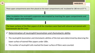 • The neutrophils locomotion and chemotactic abilities of the test were determined by observing the
lower surface of stained filter papers under 100x .
• The number of neutrophil cells reached the lower surface of filters were counted.
.
These upper compartments were then placed on the lower compartments and incubated for 180 min at 37 0 C.
After incubation the neutrophil suspension was emptied by inverting the upper compartments and
the filter papers were removed.
The lower surfaces of the filter papers of all the chambers were fixed with ethanol and stained with
haematoxylin dye for 5 min.
 Determination of neutrophil locomotion and chemotactic ability
13 14/05/2018
 