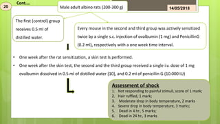 Male adult albino rats (200-300 g)
The first (control) group
receives 0.5 ml of
distilled water.
Every mouse in the second and third group was actively sensitized
twice by a single s.c. injection of ovalbumin (1 mg) and PenicillinG
(0.2 ml), respectively with a one week time interval.
Cont.…
Assessment of shock
1. Not responding to painful stimuli, score of 1 mark;
2. Hair ruffled, 1 mark;
3. Moderate drop in body temperature, 2 marks
4. Severe drop in body temperature, 3 marks;
5. Dead in 4 hr., 5 marks;
6. Dead in 24 hr., 3 marks
20 14/05/2018
• One week after the rat sensitization, a skin test Is performed.
• One week after the skin test, the second and the third group received a single i.v. dose of 1 mg
ovalbumin dissolved in 0.5 ml of distilled water [10], and 0.2 ml of penicillin G (10.000 IU)
 