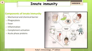 Components of innate immunity
 Mechanical and chemical barrier
 Phagocytosis
 Fever
 Inflammation
 Complement activation
 Acute phase proteins
Innate immunity 14/05/2018
3
Kuby’s immunology , 7th edition
 