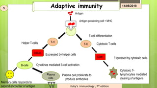 Adaptive immunity
T-H
T-C
CD4+
Plasma
cells
CD8+
Antigen
Antigen presenting cell + MHC
T-cell differentiation
Cytotoxic T-cells
Expressed by cytotoxic cells
Cytotoxic T-
lymphocytes mediated
clearing of antigens
Expressed by helper cells
B-cells Cytokines mediated B-cell activation
Plasma cell proliferate to
produce antibodies
Memory cells responds to
second encounter of antigen
Helper T-cells
5
14/05/2018
Kuby’s immunology , 7th edition
 