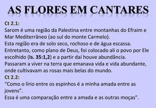 PROVÉRBIOS: ensinam a viver
O MAIS PRÁTICO DO AT
TRATA DA VIDA COTIDIANA
DESCREVE E ESTIMULA:
• - O CORRETO PENSAR
1. - O CORRETO AGIR
 