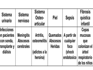 Sistema
urinario
Sistema
nervioso
Sistema
Osteo-
articular
Piel Sepsis
Fibrosis
quística
infantil
Infecciones
enpacientes
consonda,
ransplante y
diálisis
Meningitis
Abscesos
cerebrales
Artritis,
osteomelitis
(adictosala
heroína)
Quemados
Abscesos
Heridas
Apartirde
cualquier
foco
(shock
endotoxico
Cepas
mucosas
que
colonizanel
árbol
respiratorio
delosniños
 