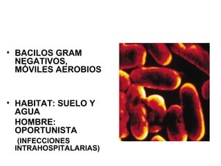 • BACILOS GRAM
NEGATIVOS,
MÓVILES AEROBIOS
• HABITAT: SUELO Y
AGUA
HOMBRE:
OPORTUNISTA
(INFECCIONES
INTRAHOSPITALARIAS)
 