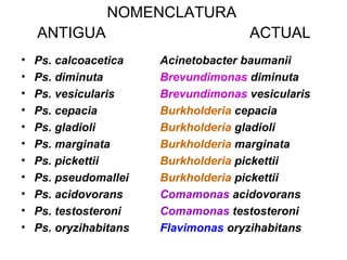 NOMENCLATURA
ANTIGUA ACTUAL
• Ps. calcoacetica Acinetobacter baumanii
• Ps. diminuta Brevundimonas diminuta
• Ps. vesicularis Brevundimonas vesicularis
• Ps. cepacia Burkholderia cepacia
• Ps. gladioli Burkholderia gladioli
• Ps. marginata Burkholderia marginata
• Ps. pickettii Burkholderia pickettii
• Ps. pseudomallei Burkholderia pickettii
• Ps. acidovorans Comamonas acidovorans
• Ps. testosteroni Comamonas testosteroni
• Ps. oryzihabitans Flavimonas oryzihabitans
 