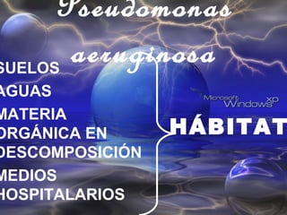 HÁBITAT
SUELOS
AGUAS
MATERIA
ORGÁNICA EN
DESCOMPOSICIÓN
MEDIOS
HOSPITALARIOS
Pseudomonas
aeruginosa
 