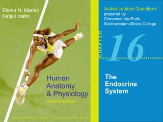 Human 
Anatomy 
& Physiology 
SEVENTH EDITION 
Elaine N. Marieb 
Katja Hoehn 
Copyright © 2006 Pearson Education, Inc., publishing as Benjamin Cummings 
Active Lecture Questions 
prepared by 
Cinnamon VanPutte, 
Southwestern Illinois College 
C H A P T E R 
16 
The 
Endocrine 
System 
 