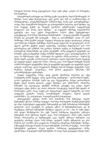 ნაბიჭვარ მორისს არსად გადავყრივარ. რაღა თქმა უნდა, კისერი არ მომიტეხია
მის საძებრად.
სასტუმროდან გამოვედი და მაშინვე ტაქსი დავიჭირე, მაგრამ წარმოდგენა არ
მქონდა, საით უნდა წავსულიყავი. ჯერ კვირა იყო, შინ კი ოთხშაბათამდე არ
მიმესვლებოდა, ყოველშემთხვევაში სამშაბათამდე მაინც ვერ გამოვჩნდებოდი.
არადა, სხვა სასტუმროში წასვლისა და გამოტვინების ხალისიც აღარ მქონდა. ასე
რომ, ჩავჯექი ქაქსში და შოფერს ვუთხარი, ცენტრალური სადგურისკენ
წასულიყო. გზა მაინც იქით მქონდა - ეს სადგური სწორედ ბალტიმორის
გვერდზე იყო, საცა უფრო მოგვიანებით, სალის უნდა შევხვედროდი.
გადავწყვიტე, რომ ბარგი შესანახად მომებარებინა - იქ დიდ ყუთებში ჩააგდებენ
ხოლმე და გასაღებს შენ გაძლევენ, - მერე კი ვისაუზმებდი. ცოტა არ იყოს
მომშივდა. მანამ ტაქსში ვიჯექი, საფულე ამოვიღე და ფული დავთვალე. კარგად
აღარ მახსოვს, რამდენი აღმოჩნდა, მაგრამ დიდი ფულიანი არ ვყოფილვარ. ამ ორ
ქეციან კვირაში ქვეყნის ფული გაფლანგე. იცოცხლე ბედოვლათი ვარ. რის
დახარჯვასაც ვერ ვასწრებ, ისე ვკარგავ. ხურდის აღებაც კი მავიწყდება ხოლმე
სანახევროდ რესტორნებსა და ღამის კლუბებში. ამაზე გიჟდებიან დედაჩემი და
მამაჩემი. ვერც გაამტყუნებ. თუმცა მამაჩემი მდიდარი კაცია. დანამდვილებით არ
ვიცი, რა შემოსავალი აქვს - არასოდეს არა გვქონია ამაზე ლაპარაკი - მაგრამ მე
მგონი ბევრს აკეთებს. კორპორაციის იურისტია. მაგისი ხელობის ხალხი ხვეტავს
და ხვეტავს ფულს. ფულიანი რომაა, იმითაც ვიცი, რომ მუდამ აბანდებს ხოლმე
თანხას ბროდვეის დადგმებზე. მერე ეს დადგმები ფლავდება და დედაჩემი ჭკუას
კარგავს. საერთოდ, ელის სიკვდილის შემდეგ ძალიან მოტყდა დედაჩემი. სულ
მოეშალა ნერვები. ამიტომაცაა, რომ ჭირის დღესავით მეზარება შინ
გამოპანჩურებული დაბრუნება.
მივედი სადგურზე, ბარგი დიდ ყუთში შესანახად მივაბარე და იქვე
სასენდვიჩე ბარში შევედი. კარგა გვარიანად დავნაყრდი - ფორთოხლის წვენი,
ლორი კვერცხით, ხრაშუნა პური და ყავა. ჩვეულებრივ, მარტო ფორთოხლის
წვენსა ვსვამ ხოლმე დილით. ცუდი მჭამელი ვარ. ღმერთმანი. იმიტომაც
ჩამოვხმი ასე საცოდავად. ექიმებმა მირჩიეს, გასუქება თუ გინდა, ბევრი
პურეული უნდა ჭამოო, და ათასი ამისთანა სისულელე, მაგრამ ჩემს დღეში არ
მითხოვებია ყური. როცა სადმე ვარ, შვეიცარული ყველის სენდვიჩსა და რძის
კოქტეილს გეახლბი ხოლმე. თითქოსბევრი არაფერია, მაგრამ ფაფაში
ვიტამინებია. ჰ.ვ. კოლფილდი. ჰოლდენ ვიტამინ კოლფილდი.
ერბოკვერცხსა ვჭამდი, ბარში ორი მონაზონი რომ შემოვიდა. ხელში
ჩემოდნები ეჭირათ. მაშინვე მივხვდი, რომ სხვა მონასტერში მიემგზავრებოდნენ
და ახლა მატარებელს უცდიდნენ. შემოვიდნენ და ჩემს მეზობლად ჩამოსხდნენ,
დახლთან. აღარ იცოდნენ, რა ჯანდაბა ექნათ ამ ჩემოდნებისათვის, და მე
მივეშველე. უბრალო ჩემოდნები ჰქონდათ, ტყავისა კი არა - ისე. რა თქმა უნდა,
ამას დიდი მნიშვნელობა არა აქვს, მაგრამ საშინლად მეჯავრება, უბრალო
ჩემოდნები რომ უჭირავთ ხელში. ვიცი, რომ სირცხვილია ამისი თქმა, მაგრამ
მარტო იმისათვისაც კი შემძულდება კაცი, ხელში უბრალო ჩემოდანი თუ
დავუნახე. ერთხელ ასეთი რამე მოხდა. ელქტონ ჰილში ვსწავლობა და ერთ
ბიჭთან ვარ ოთახში, დიკ ლეგლთან, რომელსაც უბადრუკი ჩემოდნები ჰქონდა,
საწოლქვეშ ინახავდა ხოლმე ამ თავის ჩემოდნებს, თაროზე არ დებდა - რათა ჩემი
ჩემოდნების გვერდით არავის დაენახა. საშინლად ვდუღდებოდი ამაზე.
ვფიქრობდი, ან გადავყრი ჩემს ჩემოდნებს, ან არადა მაგას გავუცვლი-მეთქი. ჩემი
 