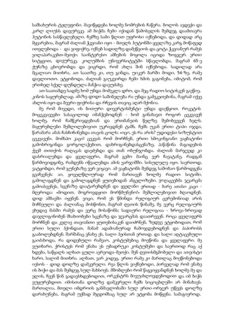 სამსახურის ტელეფონი. მავიწყდება ხოლმე ნომრების ჩაწერა. ბოლოს ავდექი და
კარლ ლიუსს დავურეკე. ამ ბიჭმა ჩემი იქიდან წამოსვლის შემდეგ დაამთავრა
ჰუტონის სასწავლებელი. ჩემზე სამი წლით უფროსი იქნებოდა, და დიდად არც
მყვარებია, მაგრამ ძალიან ჭკვიანი იყო - მთელს ჰუტონში ყველაზე კარგ მოწაფედ
ითვლებოდა - და ვიფიქრე, იქნებ სადილზე დამეწვიოს და ცოტა ჭკვიანურ რამეს
ვილაპარაკებთ-მეთქი. საინტერესო ამბების მოყოლა იცოდა ზოგჯერ. ერთი
სიტყვით, დავურეკე. კოლუმბის უნივერსიტეტში სწავლობდა, მაგრამ 65-ე
ქუჩაზე ცხოვრობდა და ვიცრდი, რომ ახლა შინ იქნებოდა. სადილად არა
მცალიაო მითხრა, ათ საათზე კი, თუ გინდა, უიკერ ბარში მოდი, 54-ზე, რამე
დავლიოთო. ეტყობოდა, ძალიან გაუკვირდა ჩემი ხმის გაგონება, იმიტომ, რომ
ერთხელ სქელ-დუნდულა მანჭია დავუძახე.
ათ საათამდე სადმე ხომ უნდა მომეკლა დრო, და მეც რადიო სიტისკენ გავწიე,
კინოს საყურებლად. ამაზე დიდი საშინელება რა უნდა გამეკეთებინა, მაგრამ იქვე
ახლოს იყო და ბევრი ფიქრისა და რჩევის თავიც აღარ მქონია.
მე რომ მივედი, ის ბითური დივერტისმენტი უნდა დაეწყოთ. როკეტის
მოცეკვავეები სასაცილოდ იმანჭებოდნენ - ხომ გინახავთ როგორ ცეკვავენ
ხოლმე, რომ ჩამწკრივდებიან და ერთმანეთს წელზე შემოხვევენ ხელს.
მაყურებლები შეშლილებივით უკრავდნენ ტაშს. ჩემს უკან ერთი ტიპი იჯდა,
წარამარა ამას ჩასჩიჩინებდა თავის ცოლს: «იცი, ეს რა არის? უდიდესი სიზუსტით
ცეკვავენ». მომსპო კაცი! ცეკვას რომ მორჩნენ, ერთი სმოკინგიანი ვაჟბატონი
გამოხრიგინდა გორგოლაჭებით, დახრიგინებდასცენაზე, პაწაწინა მაგიდების
ქვეშ თითქოს რაღაცას დაეძებდა და თან ოხუნჯობდა. ძალიან მარჯვედ კი
დასრიალებდა და ყველაფერი, მაგრამ გემო მაინც ვერ ჩავატანე, რადგან
წარმოვიდგინე, რამდენს იწვალებდა ამის ვარჯიშში. სისულელე იყო. საერთოდ,
ვატყობდი, რომ გუნებაზე ვერ ვიყავი. ამ ვაჟბატონს შემდეგ საშობაო წარმოდგენა
გვაჩვენეს: აი, ყოველწლიურად რომ მართავენ ხოლმე რადიო სიტიში.
გამოლაგდნენ და გამოლაგდნენ ყუთებიდან ანგელოზები. ვიღაცეებმა ჯვარცმა
გამოასვენეს, სცენაზე დაატარებდნენ და ყველანი ერთად - ბარე ათასი კაცი -
მღეროდა: «მოდით, მოგროვდჟით მორწმუნენო!» შეშლილებივით ბღაოდნენ.
დიდ ამბავში იყვნენ. ვიცი, რომ ეს წმინდა რელიგიურ ცერემონიად არის
მიჩნეული და ძალიანაც მოსწონთ, მაგრამ ღვთის წინაშე, მე ვერც რელიგიურს
ვხედავ მასში რამეს და ვერც მოსაწონს; სადაური რელიგიაა - ხროვა-ხროვად
დაჯლიგინობენ მსახიობები სცენაზე და ჯვარცმას დაათრევენ. როცა ყველაფერს
მორჩნენ და კვლავ თავიანთი ყუთებისაკენ დაიძრნენ, ზედვე ეტყობოდათ, რომ
ერთი სული ჰქონდათ, მანამ ადამიანურად ჩამოჯდებოდნენ და პაპიროსს
გააბოლებდნენ. შარშანაც ვნახე ეს, სალი ჰეისთან ერთად, და სალი აღტაცებული
გაიძახოდა, რა დიდებული რამეაო, კოსტუმებიც მოეწონა და ყველაფერი. მე
ვუთხარი, ქრისტეს რომ ენახა ეს უბადრუკი კოსტუმები და საერთოდ რაც აქ
ხდება, საწყალს ალბათ გული აერეოდა-მეთქი. შენ ღვთისმგმობელი და ათეისტი
ხარო, სალიმ მითხრა. ალბათ, ვარ კიდეც. ერთი რამე კი მართლაც მოეწონებოდა
იესოს - დიდ დოლზე დამკვრელი. რვა წლის ვიქნებოდი, პირველად რომ ვნახე
ის ბიჭი და მას შემდეგ სულ მახსოვს. მშობლები რომ წაგვიყვანდნენ ხოლმე მე და
ელის, ჩვენ წინ გადავსხდებოდით, ორკესტრს მივუახლოვდებოდით და იმ ბიჭს
ვუყურებდით. იმისთანა დოლზე დამკვრელი ჩემს სიცოცხლეში არ მინახავს.
მართალია, მთელი იმდროის განმავლობაში სულ ერთი-ორჯერ უწევს დოლზე
დარახუნება, მაგრამ უქმად მჯდომსაც სულ არ ეტყობა მოწყენა. სამაგიეროდ,
 