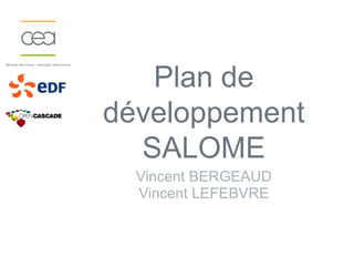 Plan de
développement
  SALOME
  Vincent BERGEAUD
  Vincent LEFEBVRE
 