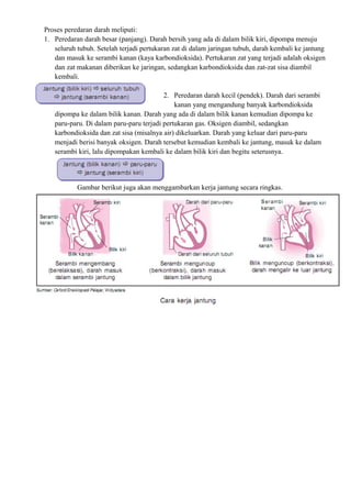 Proses peredaran darah meliputi:
1. Peredaran darah besar (panjang). Darah bersih yang ada di dalam bilik kiri, dipompa menuju
   seluruh tubuh. Setelah terjadi pertukaran zat di dalam jaringan tubuh, darah kembali ke jantung
   dan masuk ke serambi kanan (kaya karbondioksida). Pertukaran zat yang terjadi adalah oksigen
   dan zat makanan diberikan ke jaringan, sedangkan karbondioksida dan zat-zat sisa diambil
   kembali.

                                         2. Peredaran darah kecil (pendek). Darah dari serambi
                                             kanan yang mengandung banyak karbondioksida
   dipompa ke dalam bilik kanan. Darah yang ada di dalam bilik kanan kemudian dipompa ke
   paru-paru. Di dalam paru-paru terjadi pertukaran gas. Oksigen diambil, sedangkan
   karbondioksida dan zat sisa (misalnya air) dikeluarkan. Darah yang keluar dari paru-paru
   menjadi berisi banyak oksigen. Darah tersebut kemudian kembali ke jantung, masuk ke dalam
   serambi kiri, lalu dipompakan kembali ke dalam bilik kiri dan begitu seterusnya.




           Gambar berikut juga akan menggambarkan kerja jantung secara ringkas.
 