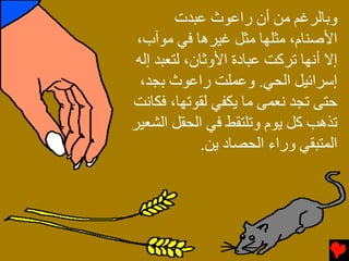 ‫وﺏﺎﻟﺮﻏﻢ ﻡﻦ أن راﻋﻮث ﻋﺒﺪت‬
 ‫اﻷﺹﻨﺎم، ﻡﺜﻠﻬﺎ ﻡﺜﻞ ﻏﻴﺮهﺎ ﻓﻲ ﻡﻮﺁب،‬
 ‫إﻻ أﻧﻬﺎ ﺕﺮآﺖ ﻋﺒﺎدة اﻷوﺙﺎن، ﻟﺘﻌﺒﺪ إﻟﻪ‬
  ‫إﺱﺮاﺉﻴﻞ اﻟﺤﻲ. وﻋﻤﻠﺖ راﻋﻮث ﺏﺠﺪ،‬
‫ﺣﺘﻰ ﺕﺠﺪ ﻧﻌﻤﻰ ﻡﺎ ﻳﻜﻔﻲ ﻟﻘﻮﺕﻬﺎ، ﻓﻜﺎﻧﺖ‬
‫ﺕﺬهﺐ آﻞ ﻳﻮم وﺕﻠﺘﻘﻂ ﻓﻲ اﻟﺤﻘﻞ اﻟﺸﻌﻴﺮ‬
              ‫اﻟﻤﺘﺒﻘﻲ وراء اﻟﺤﺼﺎد ﻳﻦ.‬
 