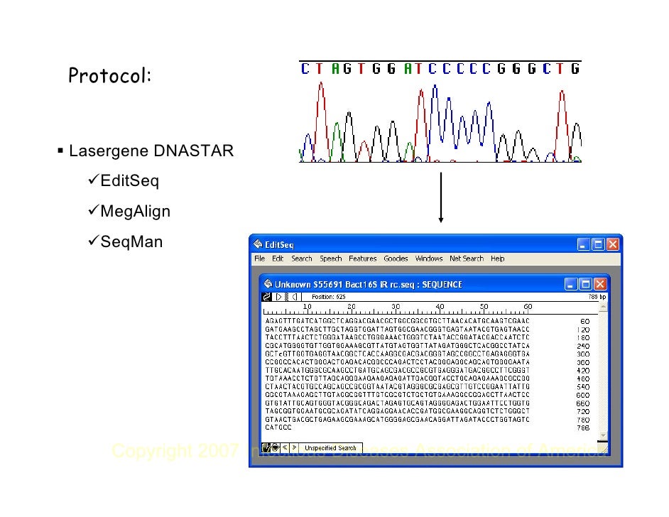 dnastar lasergene editseq dnastar lasergene editseq