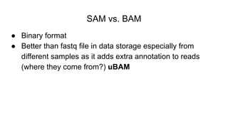 16S rRNA Analysis using Mothur Pipeline | PDF