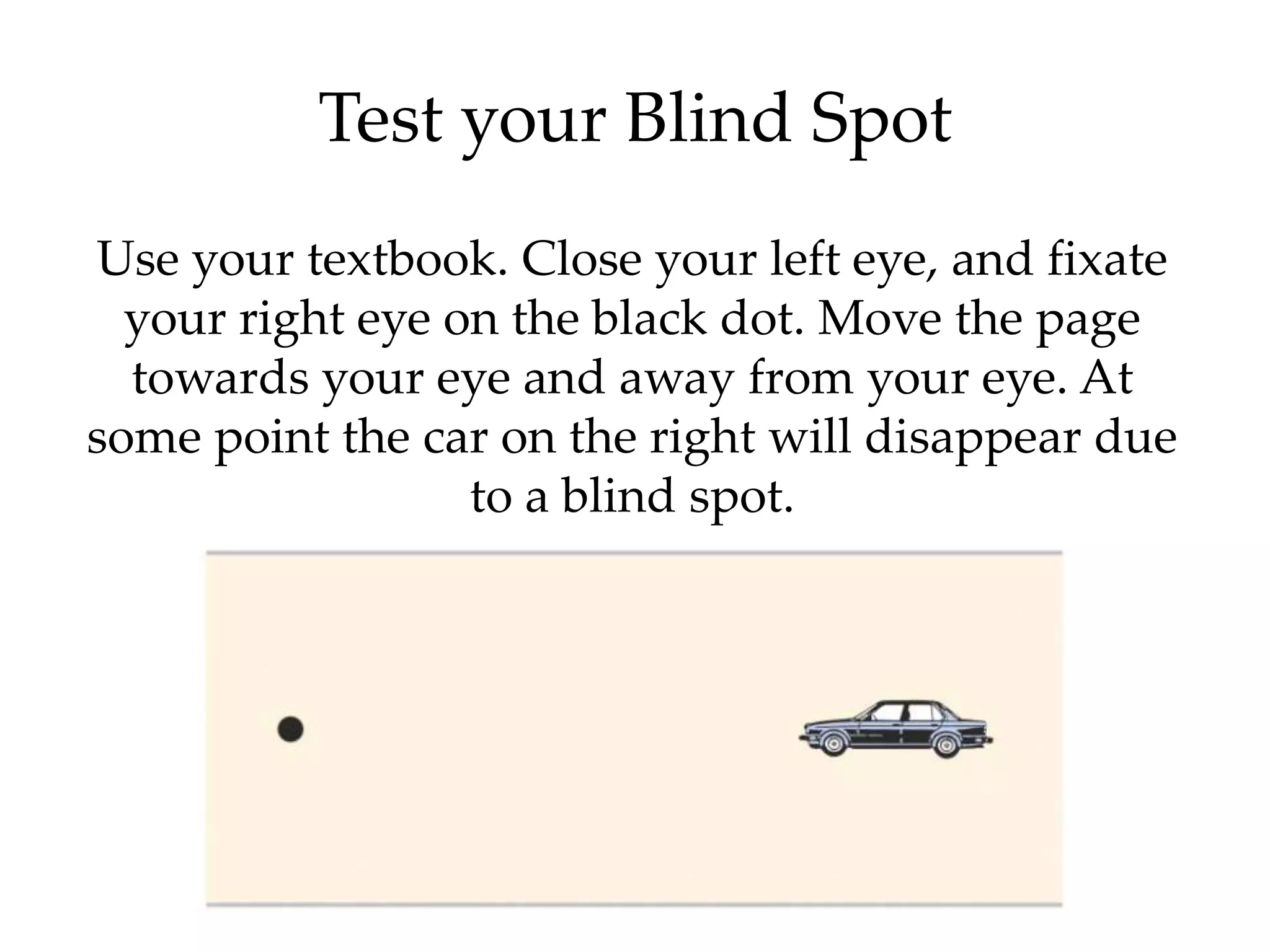 Test your Blind Spot
Use your textbook. Close your left eye, and fixate
  your right eye on the black dot. Move the page
  towards your eye and away from your eye. At
some point the car on the right will disappear due
                  to a blind spot.
 