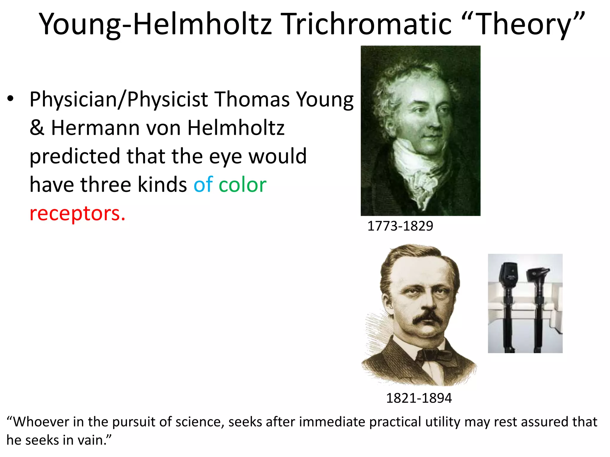 Young-Helmholtz Trichromatic “Theory”

• Physician/Physicist Thomas Young
  & Hermann von Helmholtz
  predicted that the eye would
  have three kinds of color
  receptors.                                               1773-1829




                                                              1821-1894
“Whoever in the pursuit of science, seeks after immediate practical utility may rest assured that
he seeks in vain.”
 