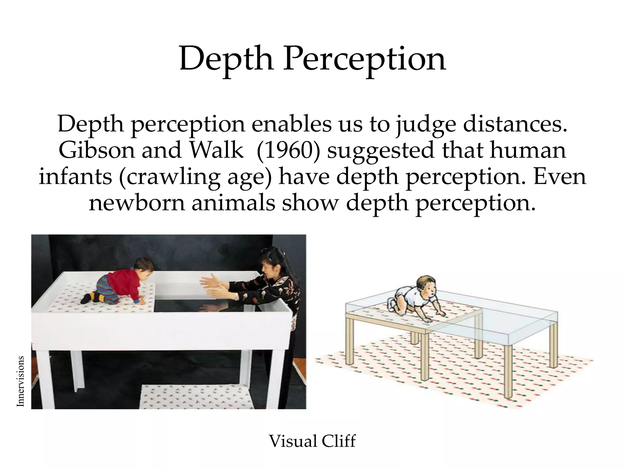 Depth Perception
                 Depth perception enables us to judge distances.
                 Gibson and Walk (1960) suggested that human
               infants (crawling age) have depth perception. Even
                    newborn animals show depth perception.
Innervisions




                                   Visual Cliff
 