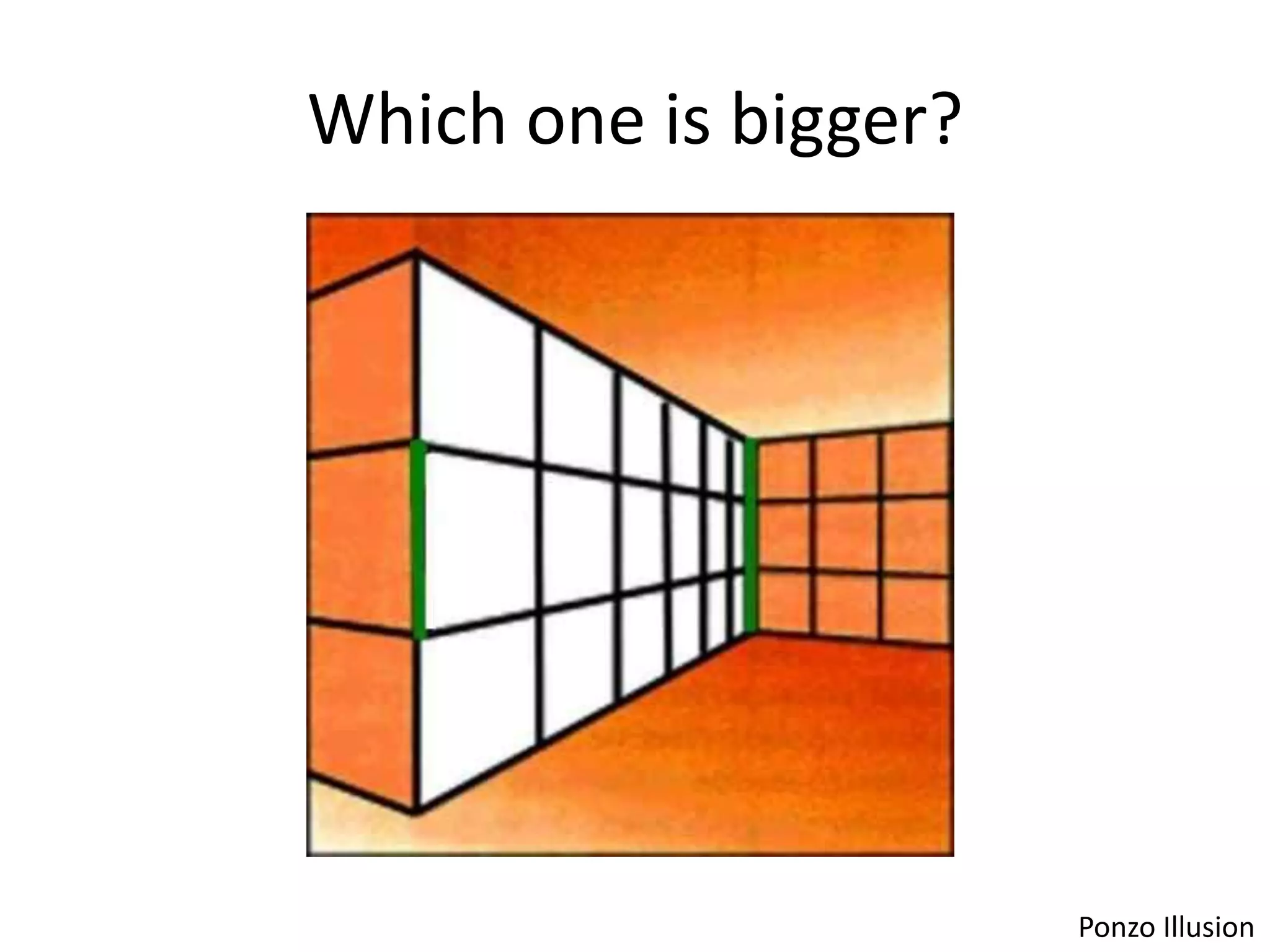 Which one is bigger?




                       Ponzo Illusion
 