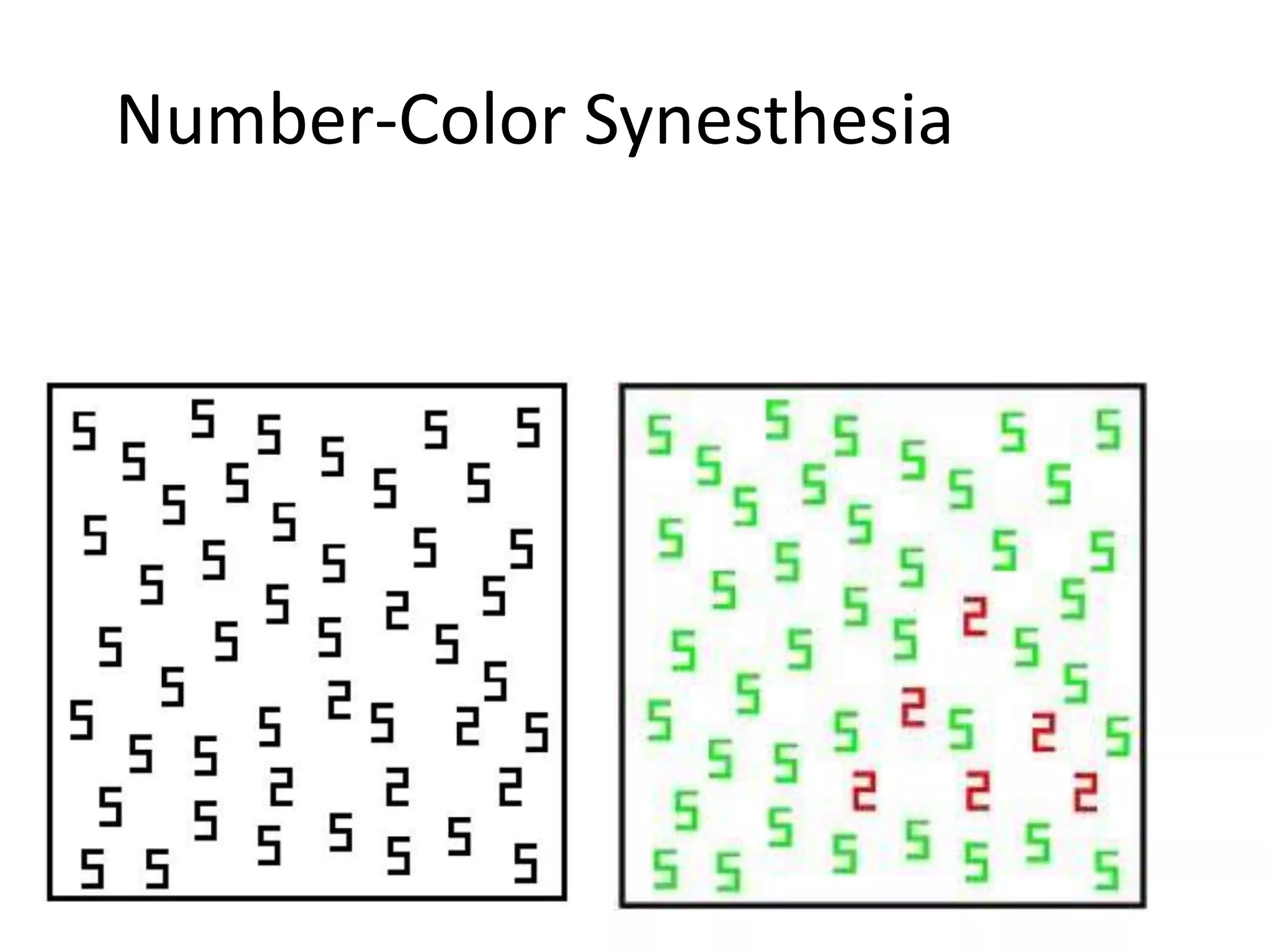 Number-Color Synesthesia
 