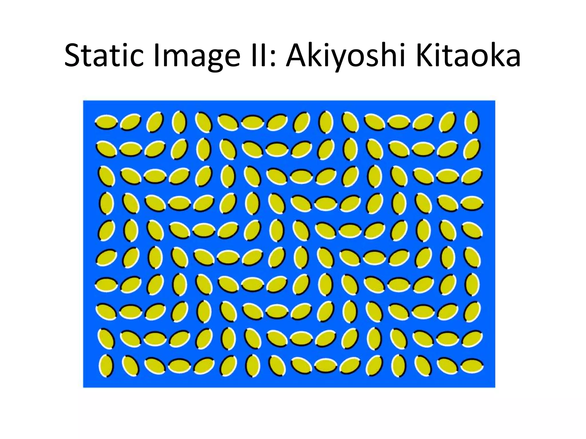 Static Image II: Akiyoshi Kitaoka
 