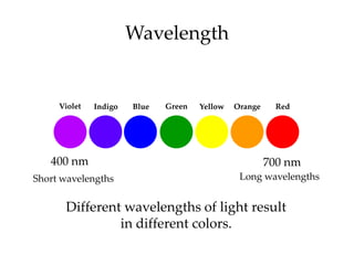 Wavelength


     Violet   Indigo   Blue   Green   Yellow   Orange    Red




   400 nm                                               700 nm
Short wavelengths                               Long wavelengths


      Different wavelengths of light result
               in different colors.
 