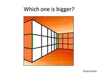 Which one is bigger?




                       Ponzo Illusion
 