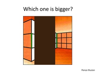 Which one is bigger?




                       Ponzo Illusion
 