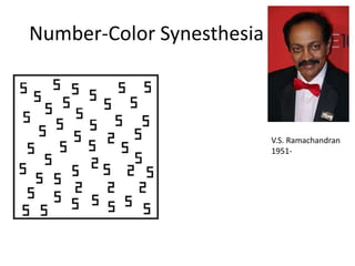 Number-Color Synesthesia



                           V.S. Ramachandran
                           1951-
 