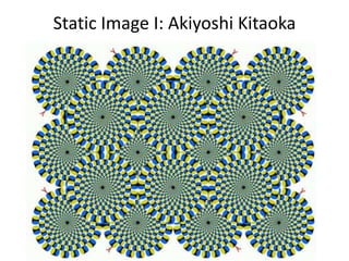 Static Image I: Akiyoshi Kitaoka
 