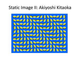 Static Image II: Akiyoshi Kitaoka
 
