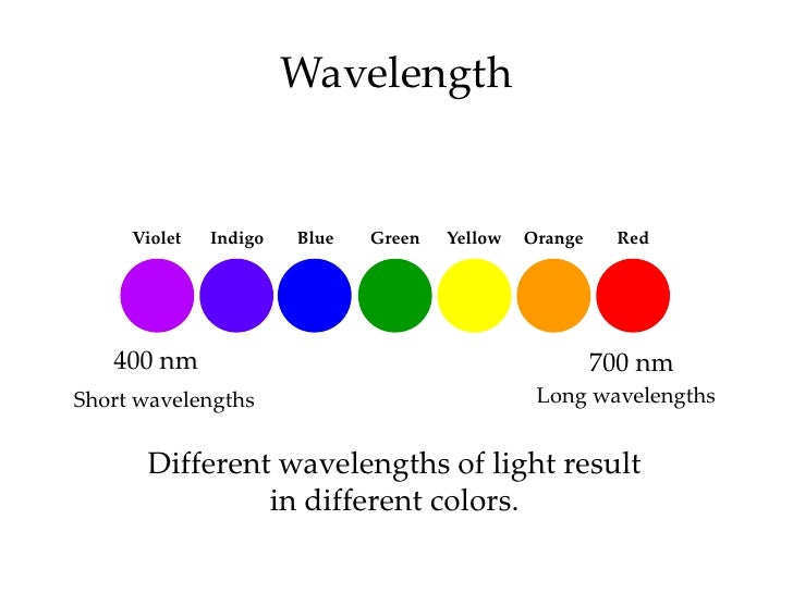 introductory-psychology-sensation-percep
