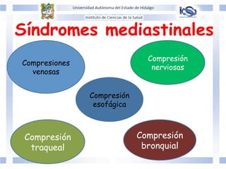 Síndromes mediastinales
Compresiones
venosas
Compresión
esofágica
Compresión
traqueal
Compresión
bronquial
Compresión
nerviosas
 