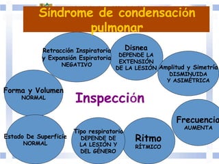 Inspección	
  	
  
Forma y Volumen
NORMAL
Estado De Superficie
NORMAL
Frecuencia
AUMENTA
Ritmo
RÍTMICO	
  	
  
Tipo respiratorio
DEPENDE DE
LA LESIÓN Y
DEL GÉNERO	
  	
  
Disnea
DEPENDE LA
EXTENSIÓN
DE LA LESIÓN	
  	
  Amplitud y Simetría
DISMINUIDA
Y ASIMÉTRICA	
  	
  
Retracción Inspiratoria
y Expansión Espiratoria
NEGATIVO	
  	
  
Síndrome de condensación
pulmonar
 