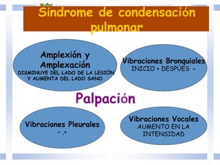 Vibraciones Pleurales
– ,+
Vibraciones Vocales
AUMENTO EN LA
INTENSIDAD
Amplexión y
Amplexación
DISMINUYE DEL LADO DE LA LESIÓN
Y AUMENTA DEL LADO SANO
Vibraciones Bronquiales
INICIO + DESPÚES -
Palpación	
  	
  
Síndrome de condensación
pulmonar
 