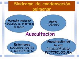Síndrome de condensación
pulmonar
Auscultación	
  	
  
Murmullo vesicular
ABOLIDO (z. afectada)
R. RUDA
Soplos
TUBARIO
Estertores
SUBCREPITANTES
O CREPITANTES
Auscultación de
la voz
BRONCOFONÍA
PECTORILOQUIA
 